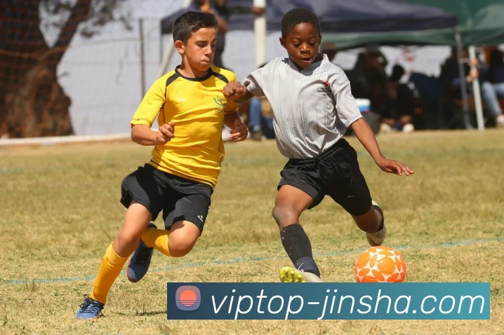 澳门金沙官网发展历程